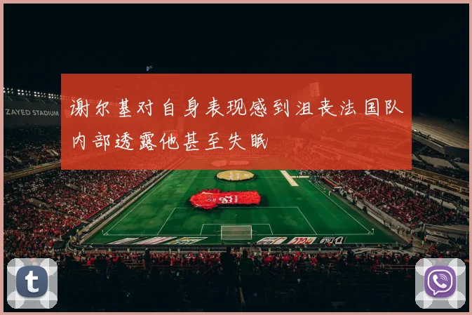 谢尔基对自身表现感到沮丧法国队内部透露他甚至失眠